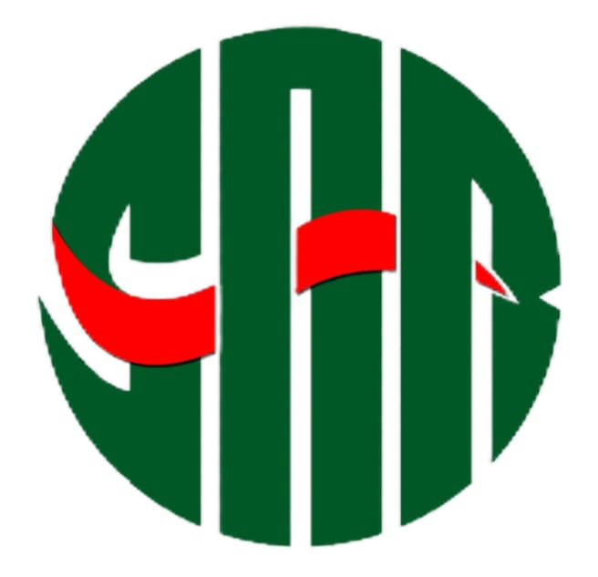 Logo PT. Pintarnya Solusi Teknologi