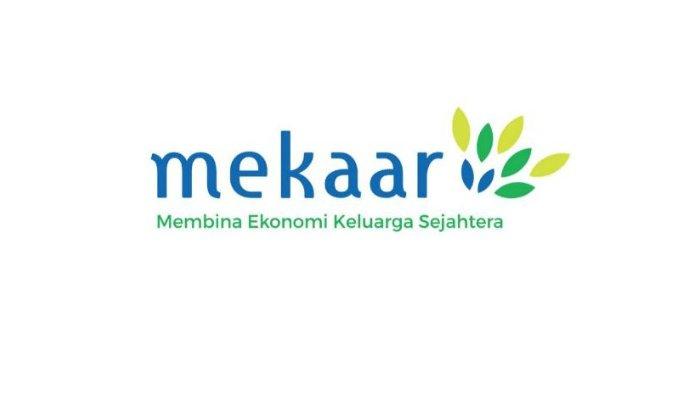 Logo PT. Pintarnya Solusi Teknologi