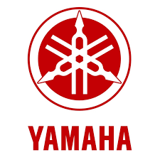 Logo PT. Pintarnya Solusi Teknologi