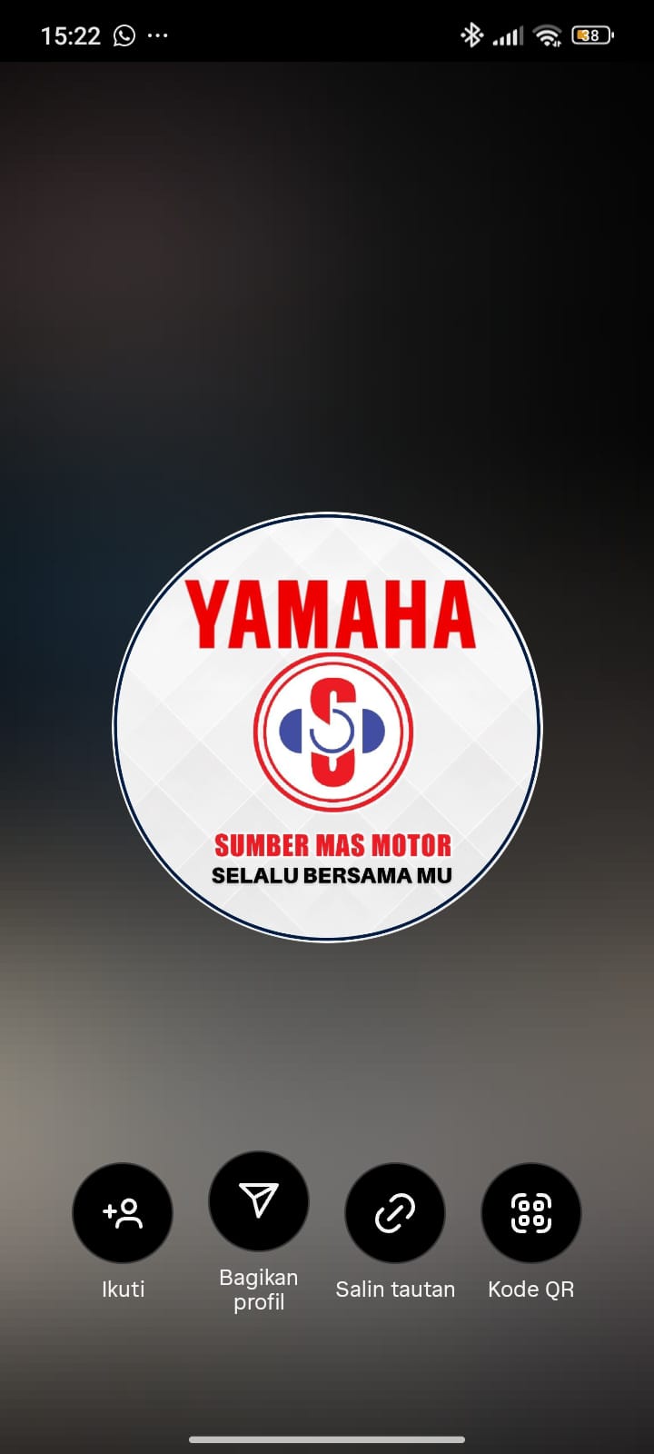 Logo PT. Pintarnya Solusi Teknologi