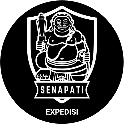 Logo PT. Pintarnya Solusi Teknologi