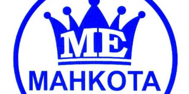 Logo PT. Pintarnya Solusi Teknologi