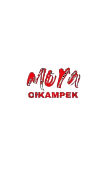 Logo PT. Pintarnya Solusi Teknologi