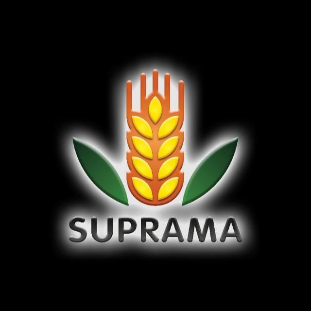 Logo PT. Pintarnya Solusi Teknologi