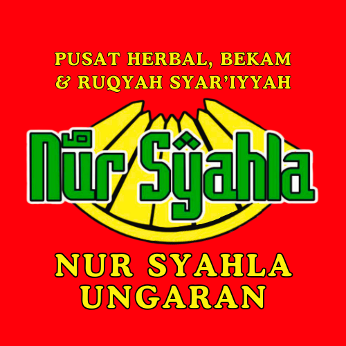 Logo PT. Pintarnya Solusi Teknologi