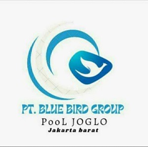 Logo PT. Pintarnya Solusi Teknologi