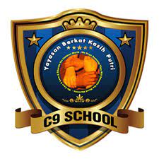 Logo PT. Pintarnya Solusi Teknologi