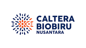 Logo PT. Pintarnya Solusi Teknologi