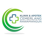 Logo PT. Pintarnya Solusi Teknologi