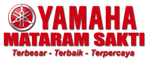 Logo PT. Pintarnya Solusi Teknologi