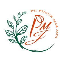 Logo PT. Pintarnya Solusi Teknologi
