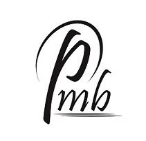 Logo PT. Pintarnya Solusi Teknologi