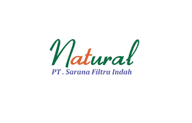 Logo PT. Pintarnya Solusi Teknologi