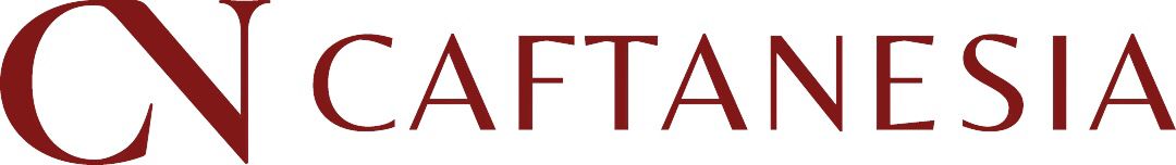 Logo PT. Pintarnya Solusi Teknologi