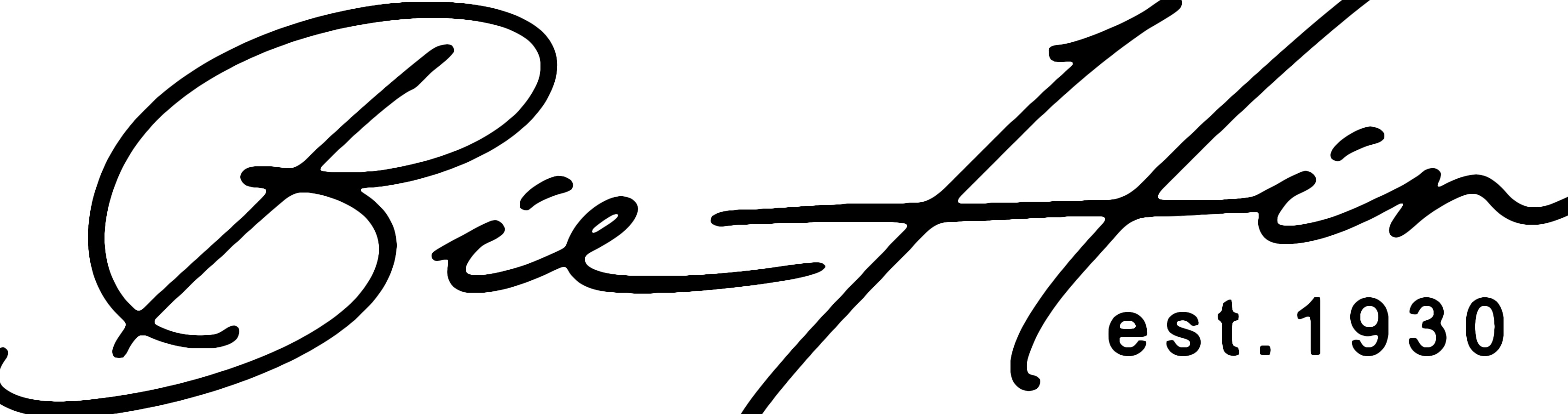 Logo PT. Pintarnya Solusi Teknologi