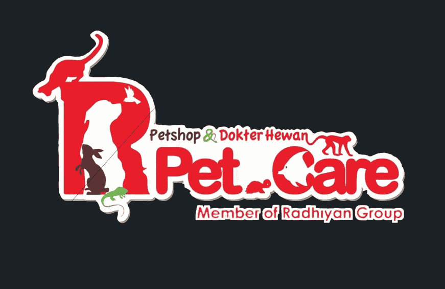 Logo PT. Pintarnya Solusi Teknologi