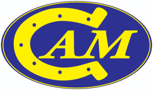 Logo PT. Pintarnya Solusi Teknologi