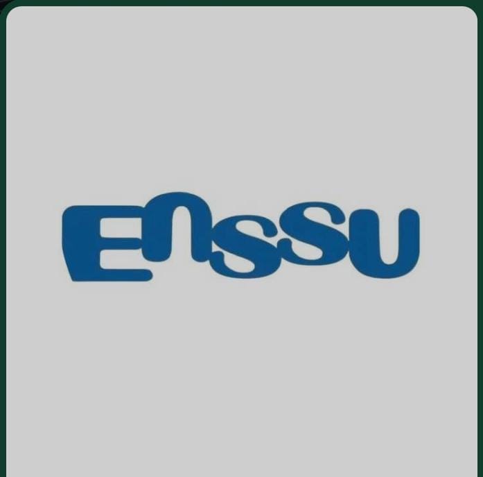 Logo PT. Pintarnya Solusi Teknologi