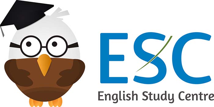 Logo PT. Pintarnya Solusi Teknologi