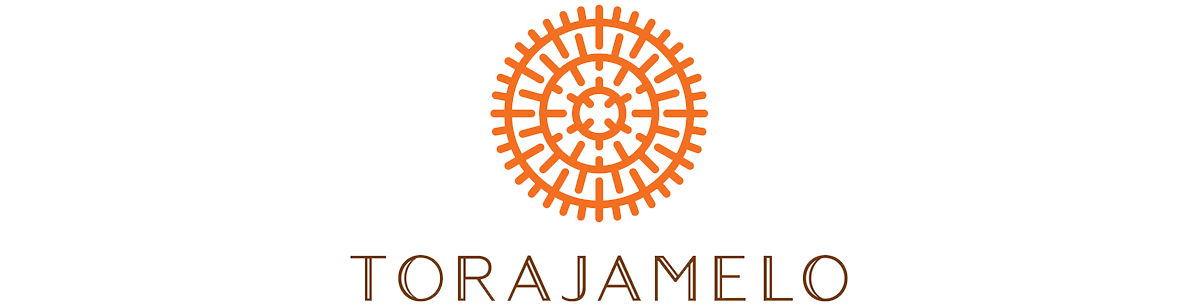 Logo PT. Pintarnya Solusi Teknologi