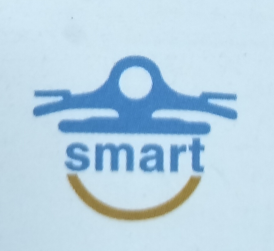 Logo PT. Pintarnya Solusi Teknologi