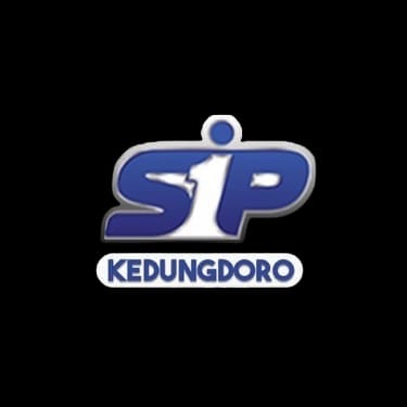 Logo PT. Pintarnya Solusi Teknologi