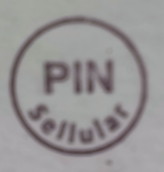 Logo PT. Pintarnya Solusi Teknologi Logo PT. Pintarnya Solusi Teknologi