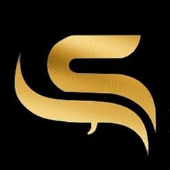 Logo PT. Pintarnya Solusi Teknologi