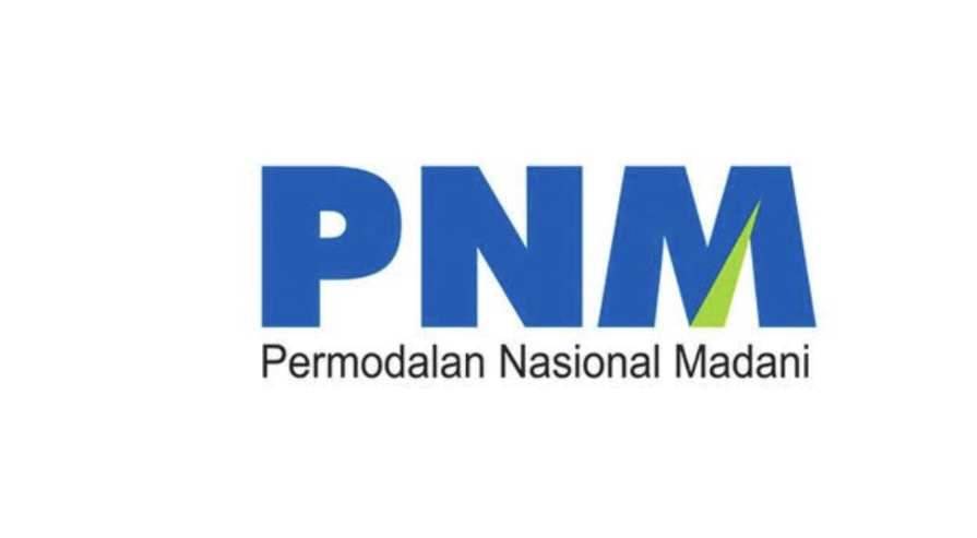 Logo PT. Pintarnya Solusi Teknologi