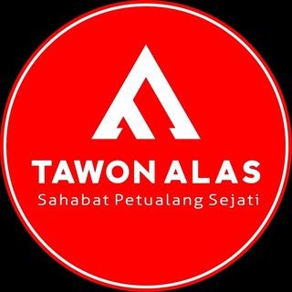 Logo PT. Pintarnya Solusi Teknologi