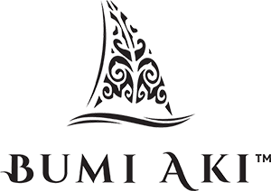 Logo PT. Pintarnya Solusi Teknologi