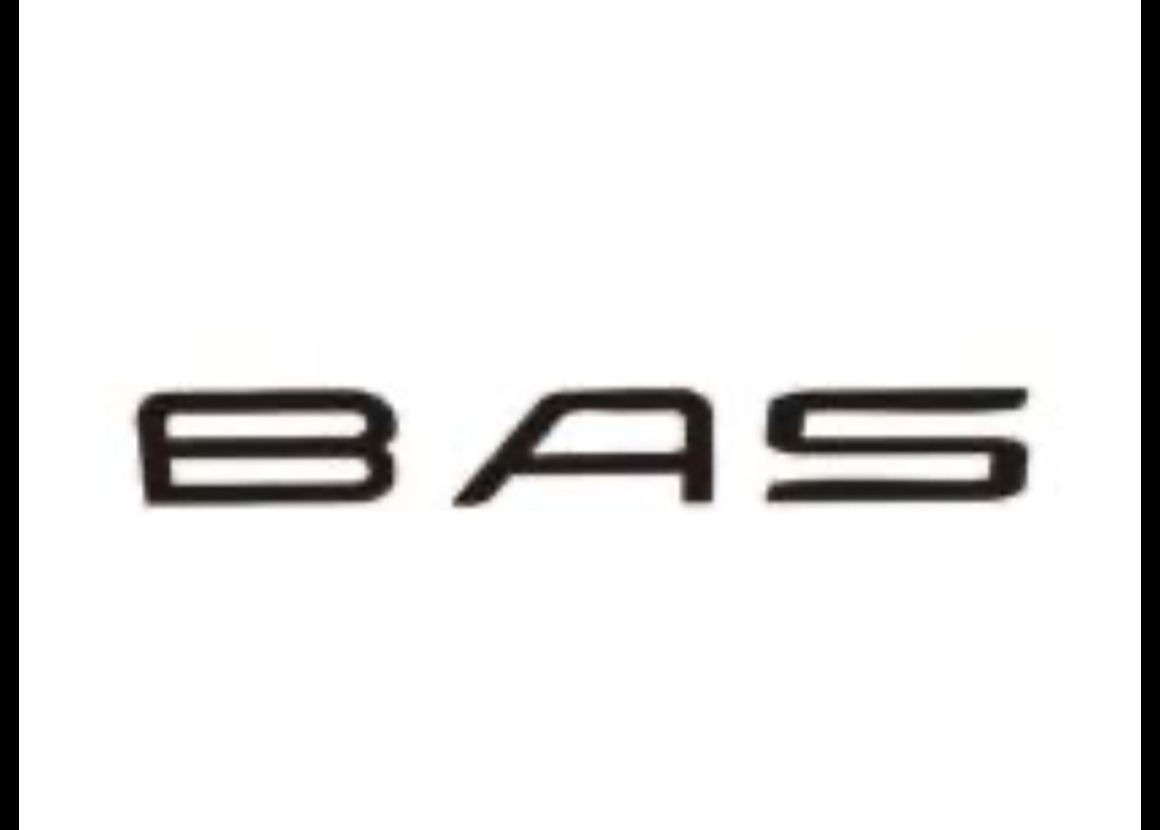 Logo PT. Pintarnya Solusi Teknologi