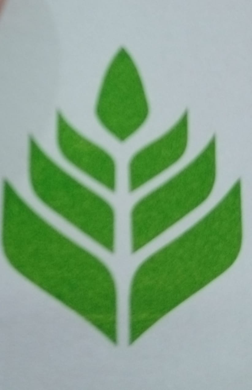 Logo PT. Pintarnya Solusi Teknologi
