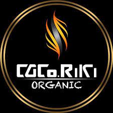 Logo PT. Pintarnya Solusi Teknologi