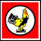 Logo PT. Pintarnya Solusi Teknologi