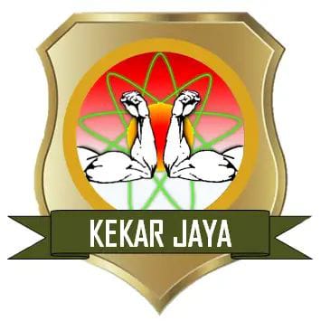 Logo PT. Pintarnya Solusi Teknologi