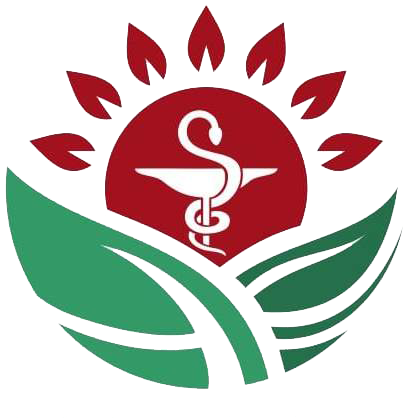 Logo PT. Pintarnya Solusi Teknologi