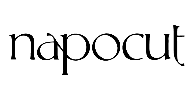 Logo PT. Pintarnya Solusi Teknologi