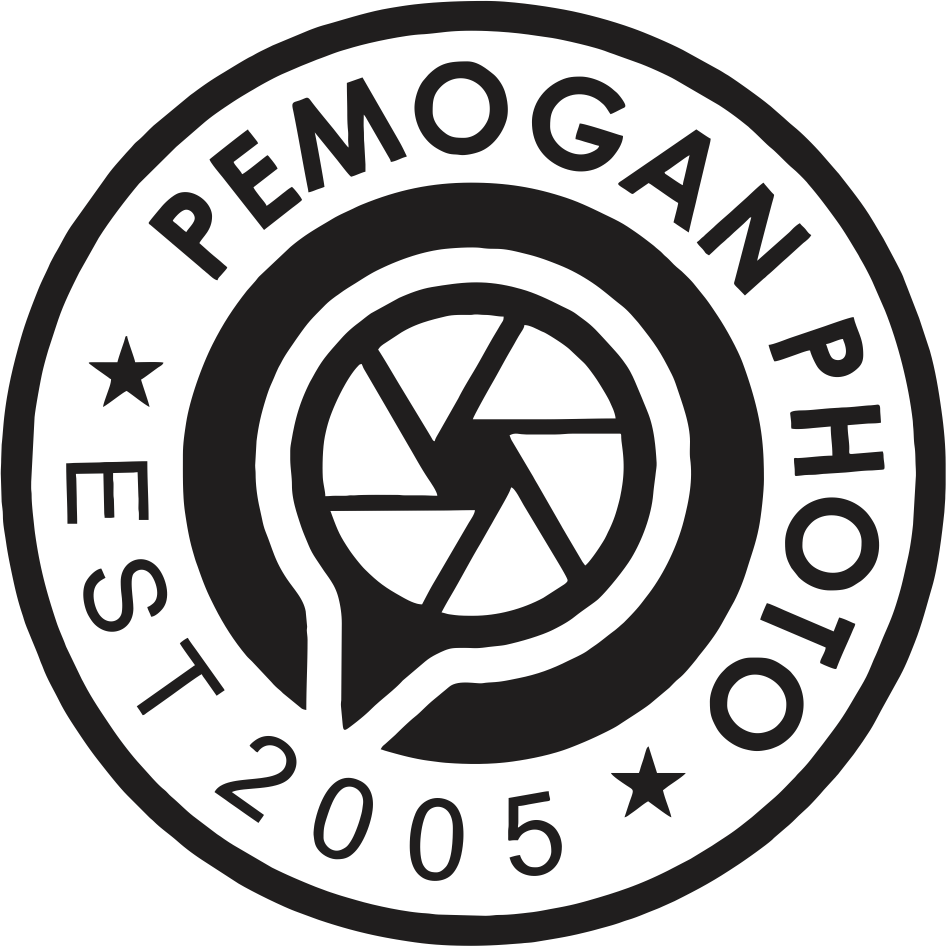 Logo PT. Pintarnya Solusi Teknologi