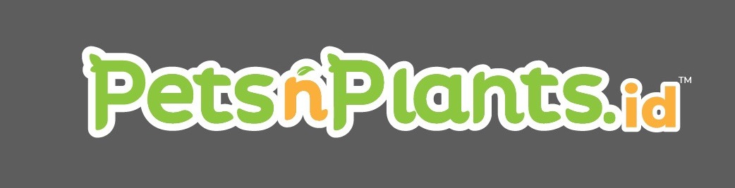 Logo PT. Pintarnya Solusi Teknologi