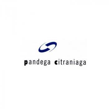 Logo PT. Pintarnya Solusi Teknologi