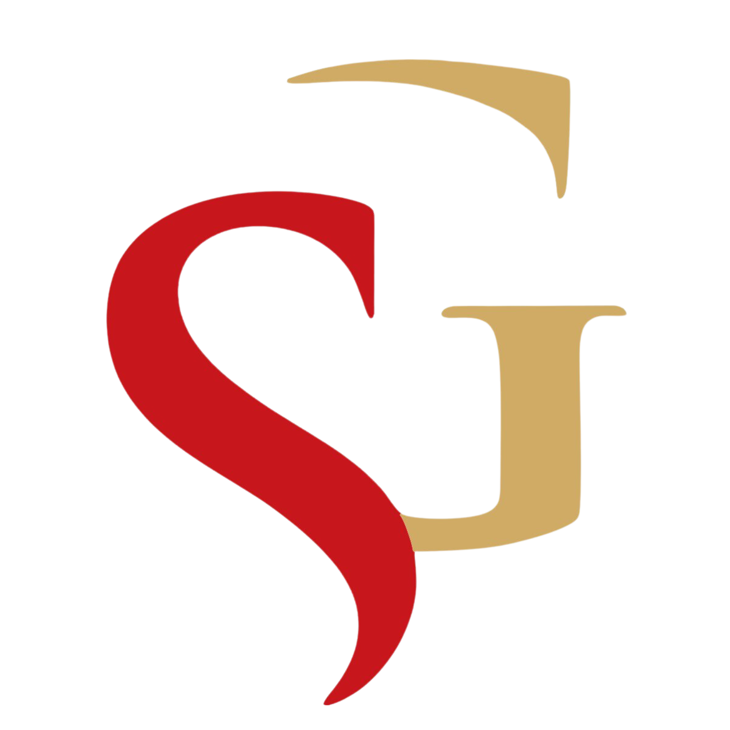 Logo PT. Pintarnya Solusi Teknologi