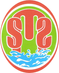 Logo PT. Pintarnya Solusi Teknologi