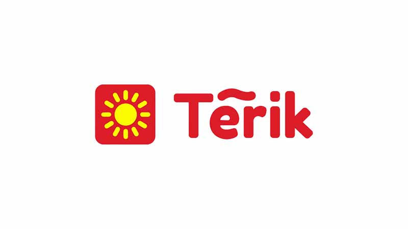 Logo PT. Pintarnya Solusi Teknologi