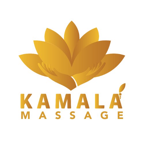 Logo PT. Pintarnya Solusi Teknologi