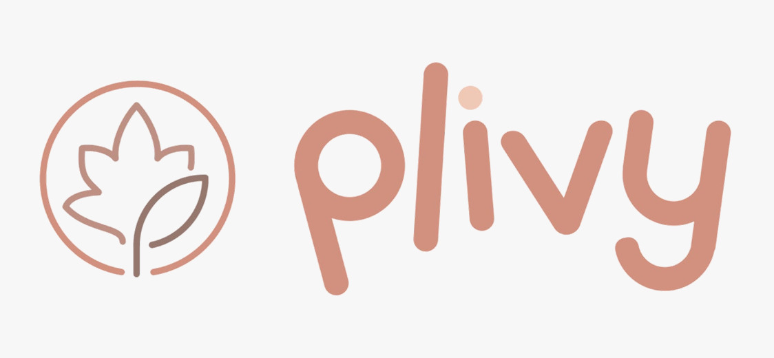 Logo PT. Pintarnya Solusi Teknologi