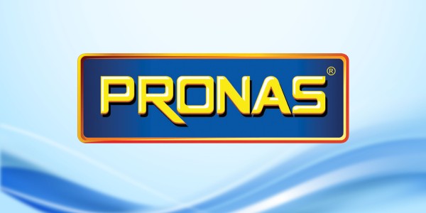 Logo PT. Pintarnya Solusi Teknologi
