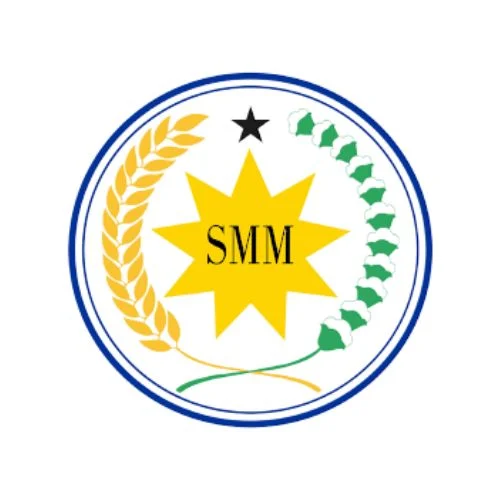 Logo PT. Pintarnya Solusi Teknologi