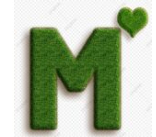 Logo PT. Pintarnya Solusi Teknologi