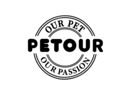 Logo PT. Pintarnya Solusi Teknologi